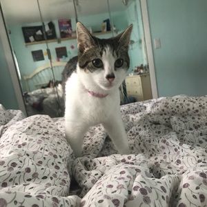 Meet your Posher, Amanda